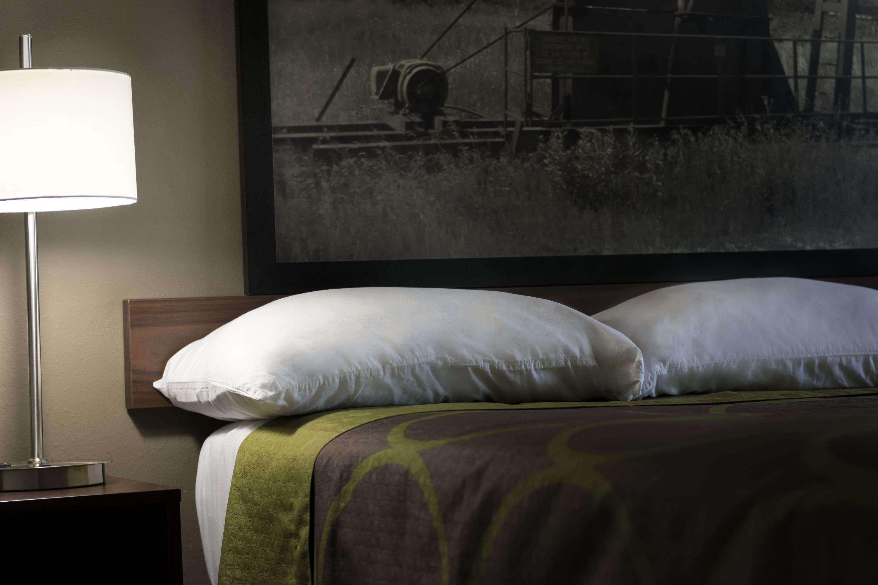 Super 8 By Wyndham Ardmore Buitenkant foto